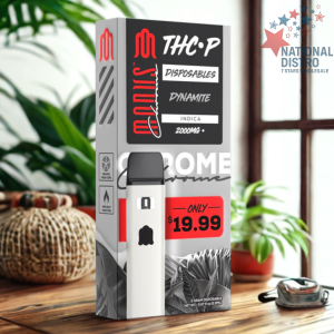 MODUS CHROME THCP 2G DISP $19.99